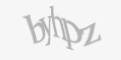 Защитный код